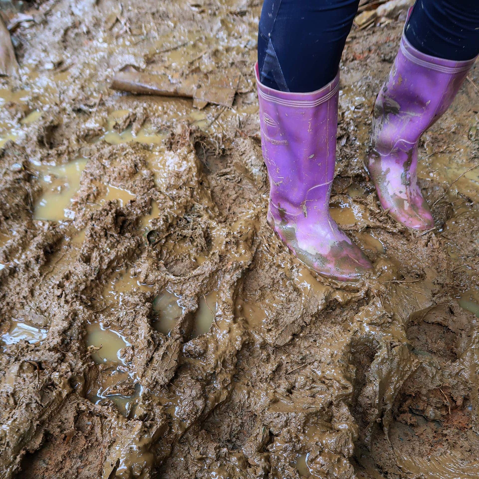 Sapa trekking og en masse mudder