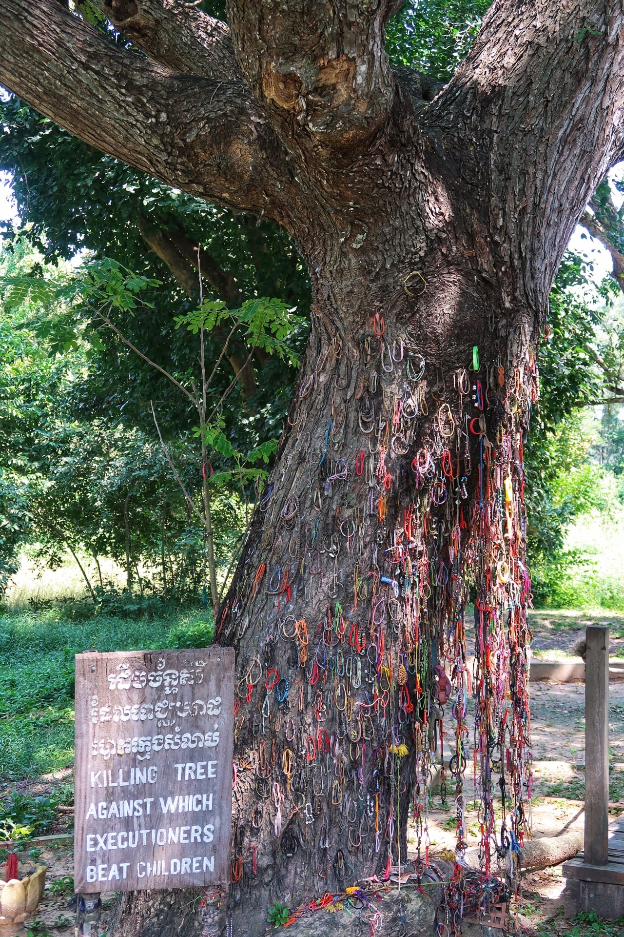 Børnetræ fra Killing fields